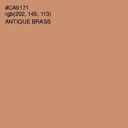 #CA9171 - Antique Brass Color Image